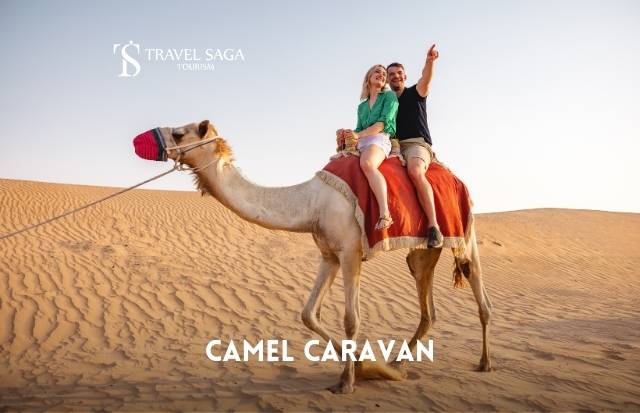 Camel Ride Dubai