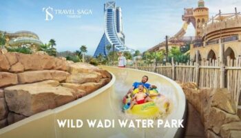 Dubai Wild Wadi Waterpark