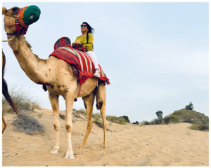 camel ride