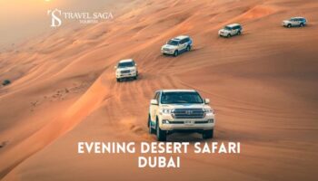 Evening Desert Safari