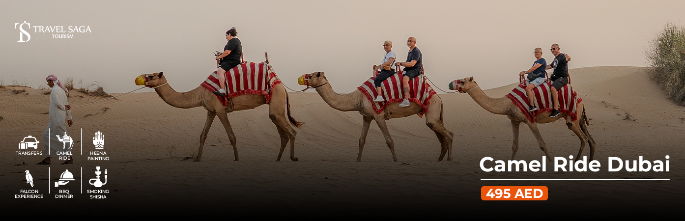 Book Camel Ride Dubai with sunset view
