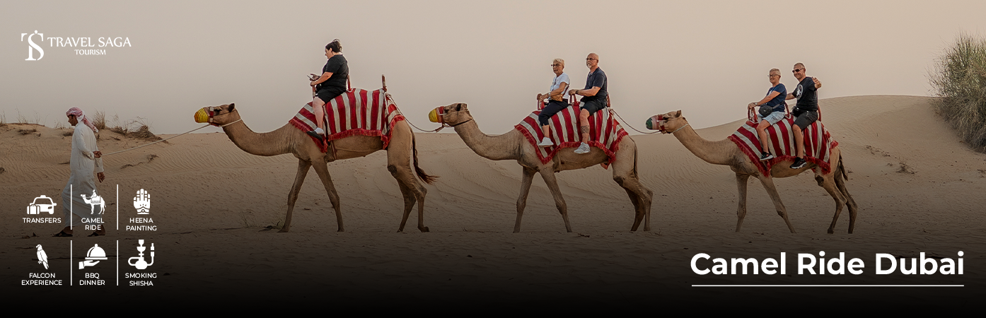 Book Camel Ride Dubai with sunset view