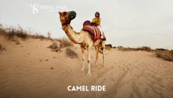 Book Camel Ride Dubai