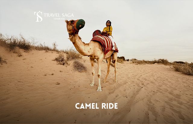 Book Camel Ride Dubai