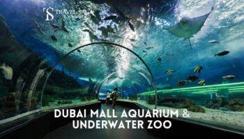 Dubai Mall Aquarium