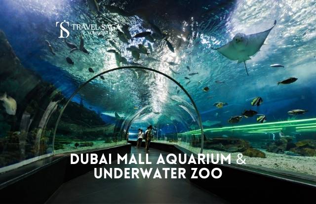 Dubai Mall Aquarium