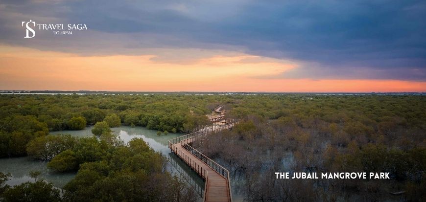 Jubail Mangrove