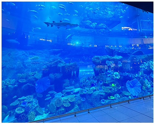 dubai mall aquarium