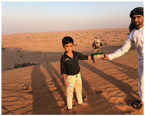premium desert safari