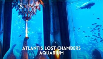 Lost Chambers Aquarium Dubai Ticket