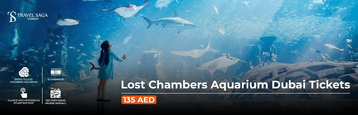 Book Lost Chambers Aquarium Dubai Tickets family aquarium adventure