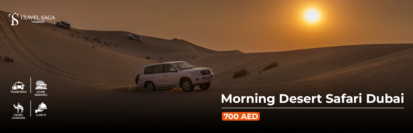 Book Morning Desert Safari Dubai dune bashing