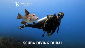 Book Scuba Diving Dubai