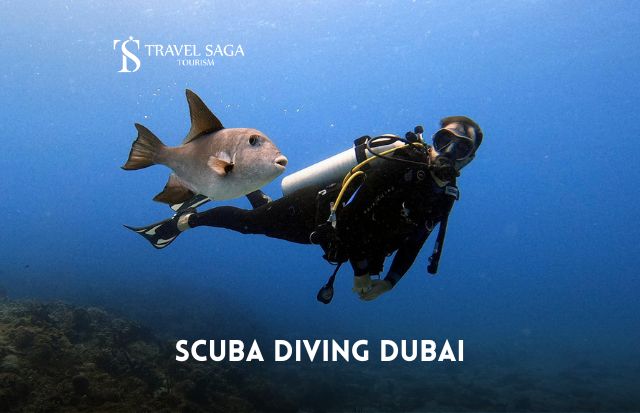 Book Scuba Diving Dubai