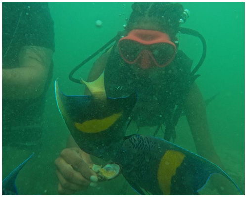 scuba diving