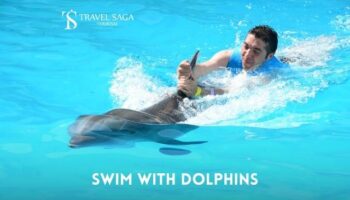 Swim with Dolphins In Dubai