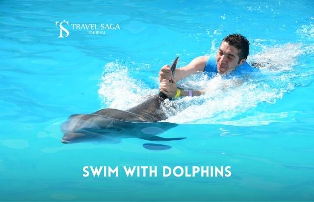 Swim with Dolphins In Dubai