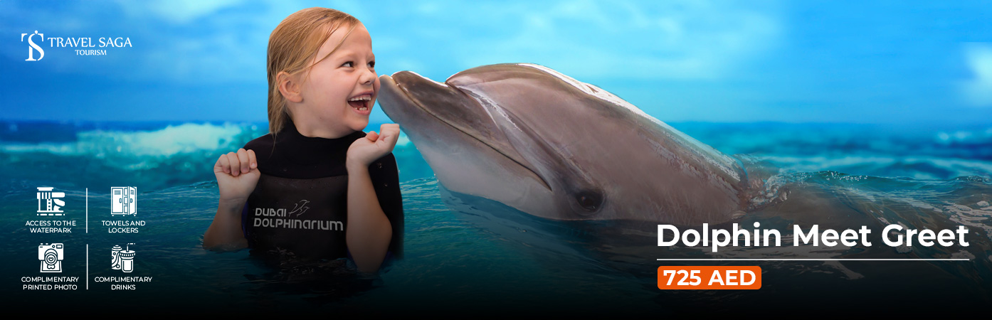 Book Dolphin Meet and Greet Tickets family dolphin activity