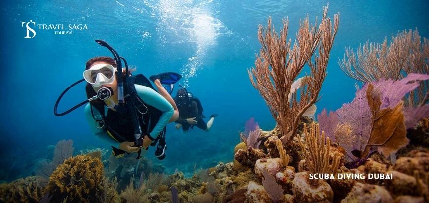 Scuba Diving