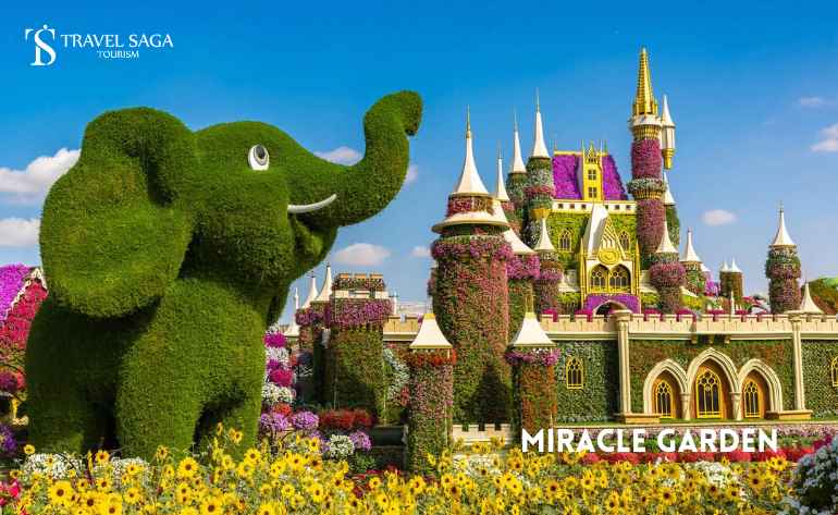 Miracle Garden Dubai Blog pictures Travel Saga Tourism