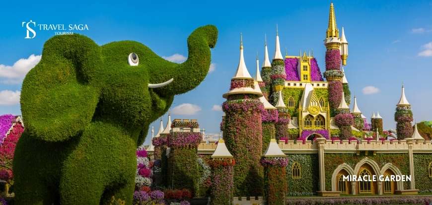Miracle Garden 
