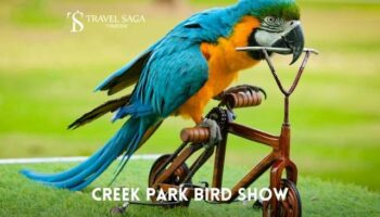 Creek Park Exotic Bird Show Ticket