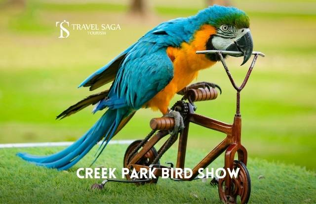 Creek Park Exotic Bird Show Ticket