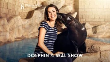 Dolphin & Seal Show Dubai