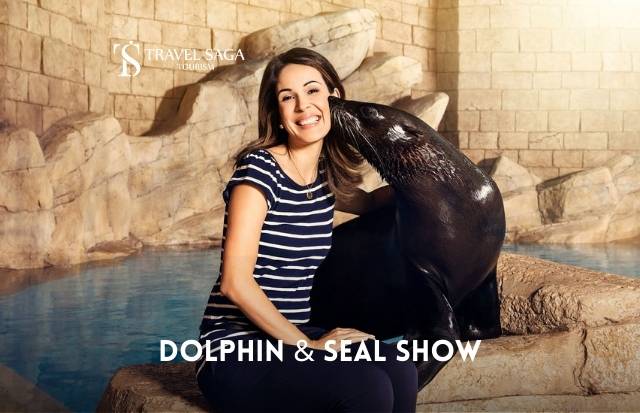 Dolphin & Seal Show Dubai