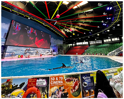 dubai dolphinarium