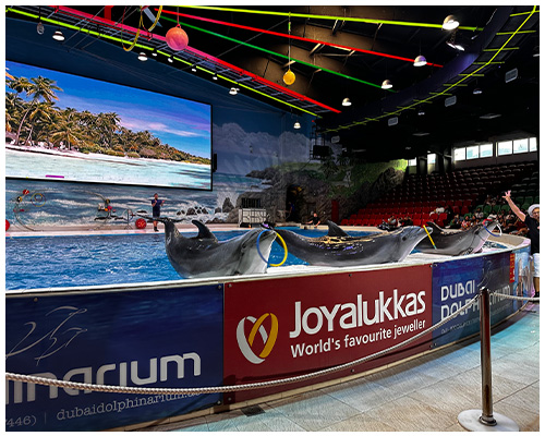 dubai dolphinarium
