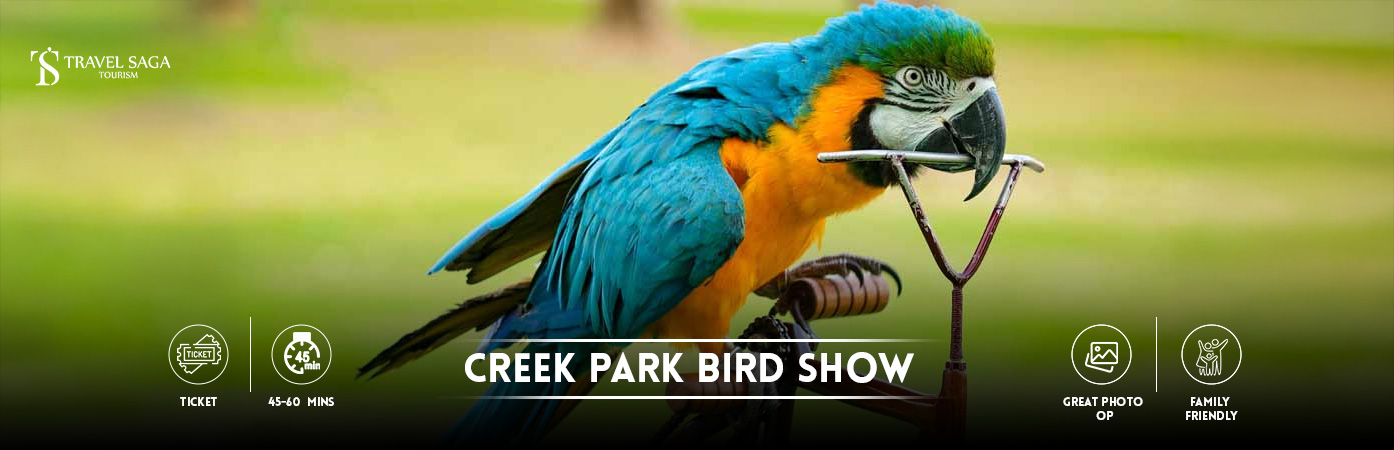 Creek Park Bird Show | Exotic Bird Show Bt banner by Travel Saga Tourism