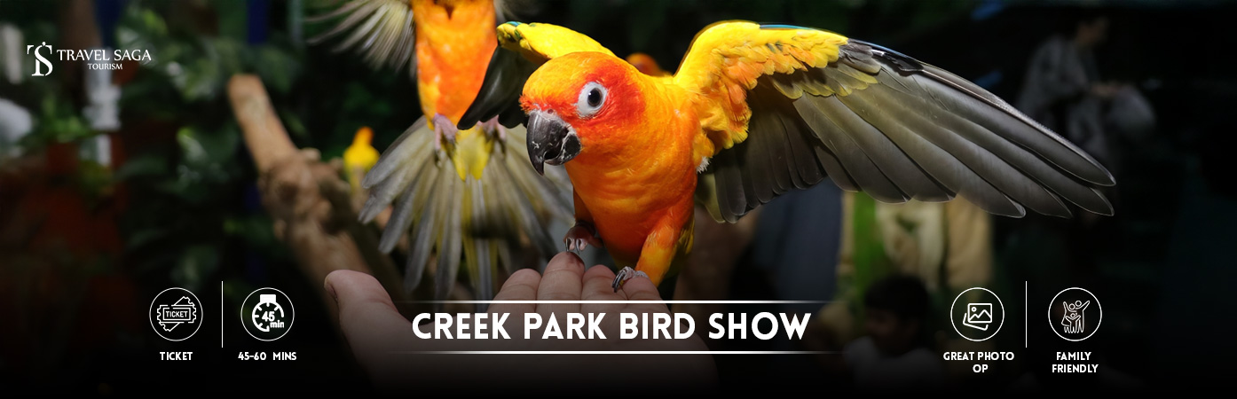 Creek Park Bird Show | Exotic Bird Show Bt banner by Travel Saga Tourism