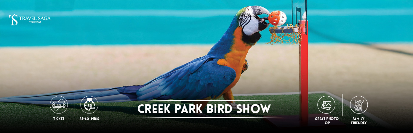 Creek Park Bird Show | Exotic Bird Show Bt banner by Travel Saga Tourism