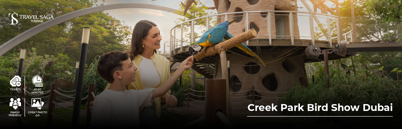 Book Creek Park Bird Show Dubai Tickets exotic birds show Dubai