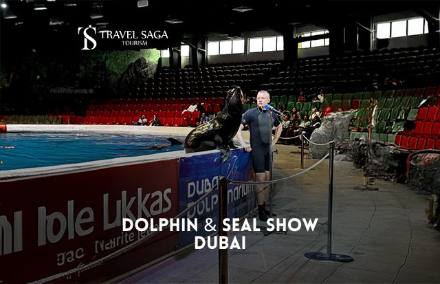Dolphin & Seal Show Dubai