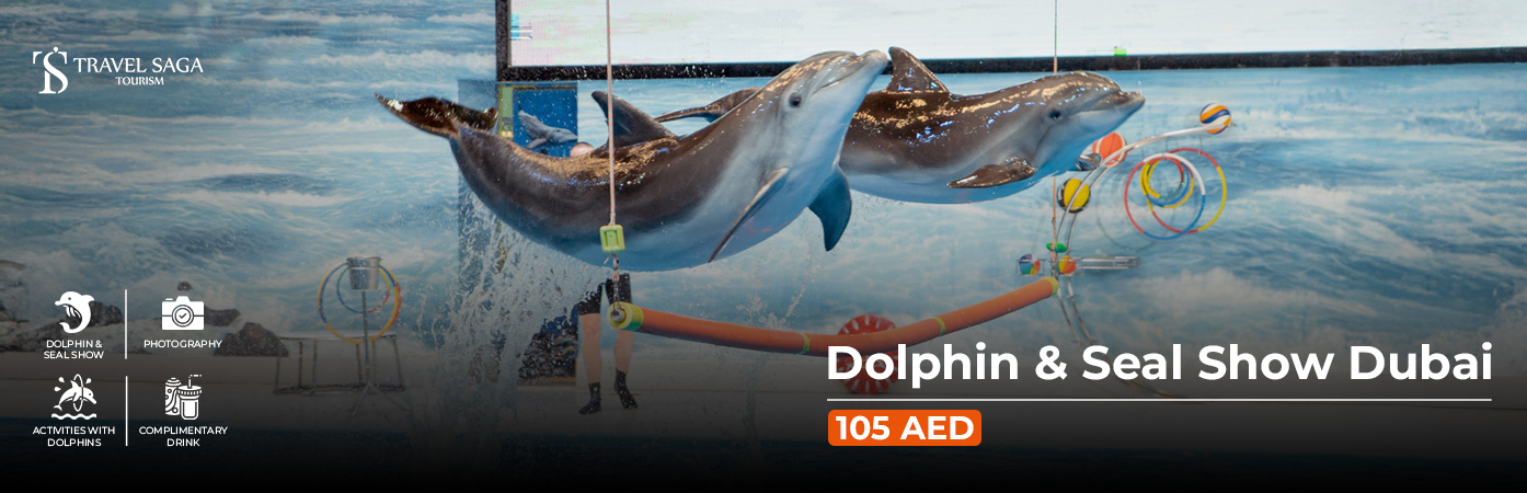Dolphin & Seal Show Dubai BT Banner by Travel Saga Tourism