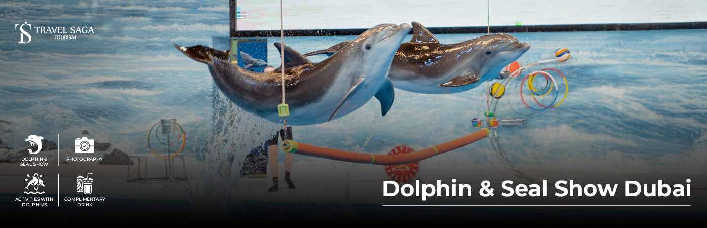 Dolphin & Seal Show Dubai BT Banner by Travel Saga Tourism