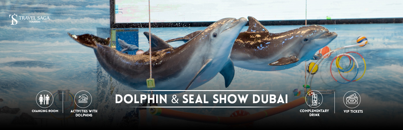 Dolphin and seal show Dubai BT banner Travel Saga Tourism
