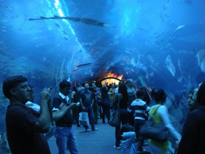 Dubai Underwater Zoo And Aquarium