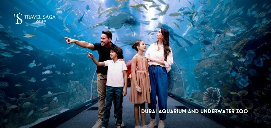 Dubai Aquarium & Underwater Zoo  