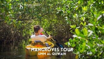 Mangroves Tour – Umm Al Quwain