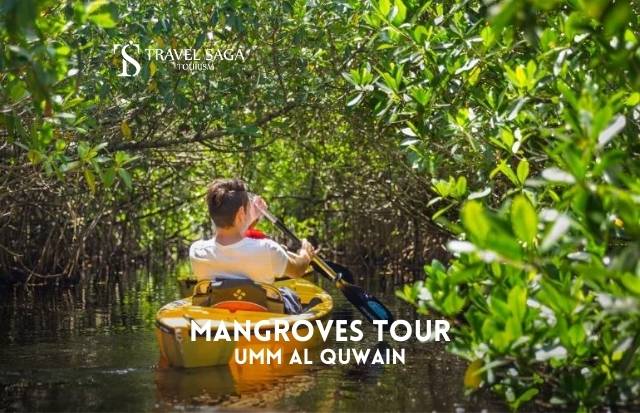 Mangroves Tour – Umm Al Quwain