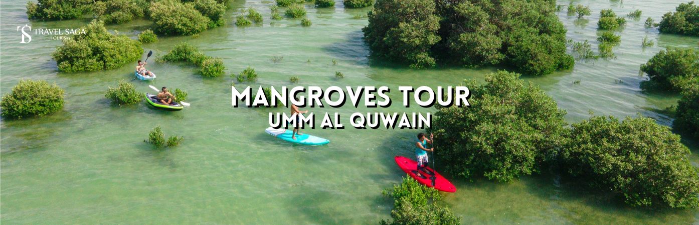 umm al quwain mangrove beach | umm al quwain mangrove BT banner travel saga tourism