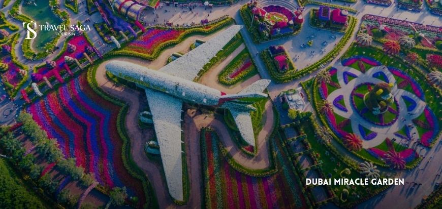 Dubai Miracle Garden