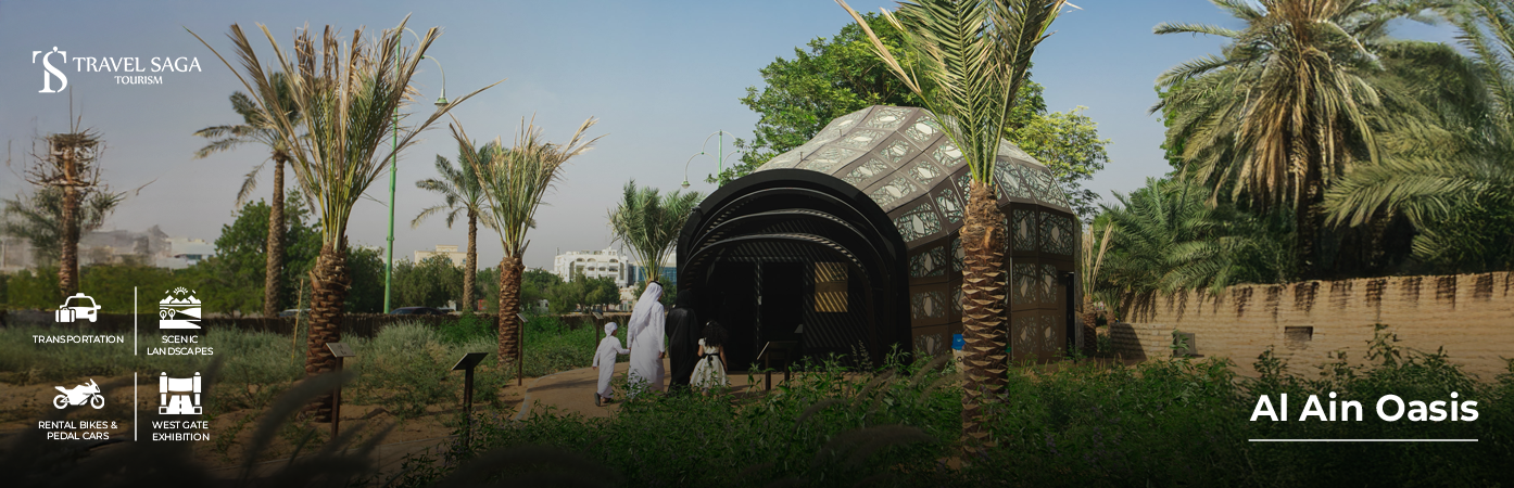 Al Ain Oasis guided tour heritage experience UAE