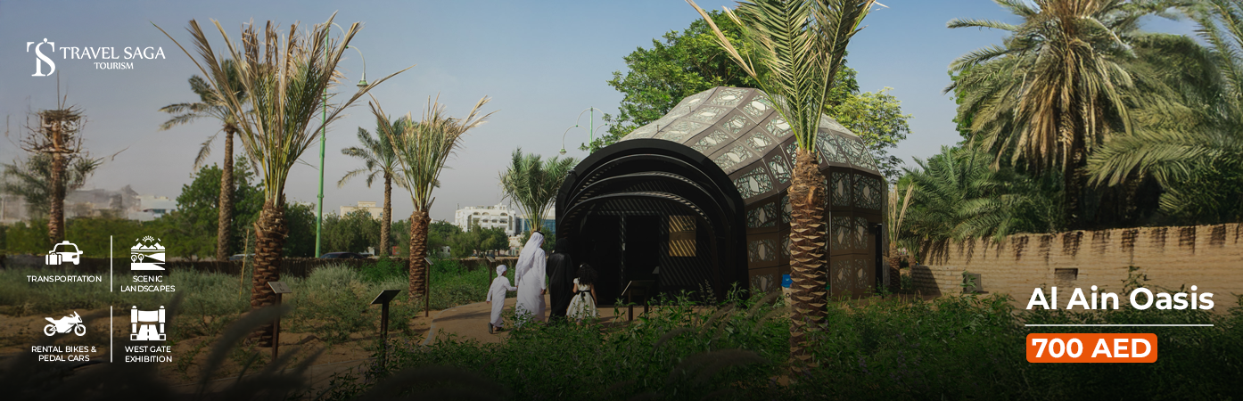Al Ain Oasis guided tour heritage experience UAE