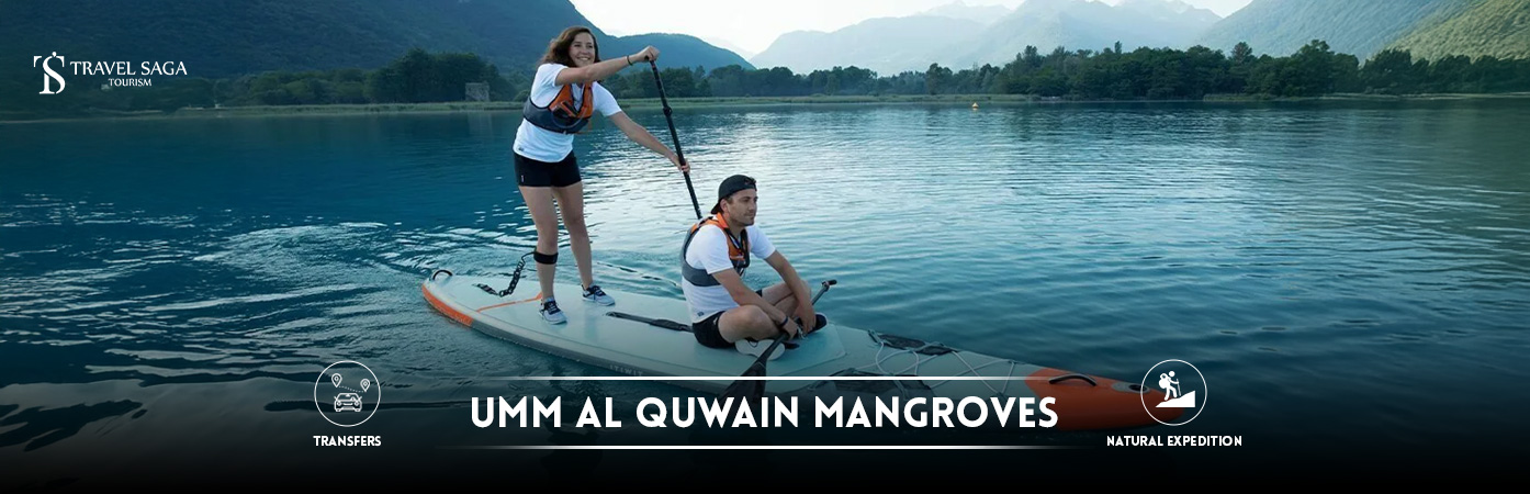 umm al quwain mangroves | mangrove beach umm al quwain BT Banner by Travel Saga Tourism