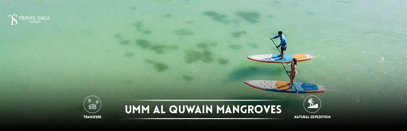 umm al quwain mangroves | umm al quwain mangrove beach BT Banner by Travel Saga Tourism
