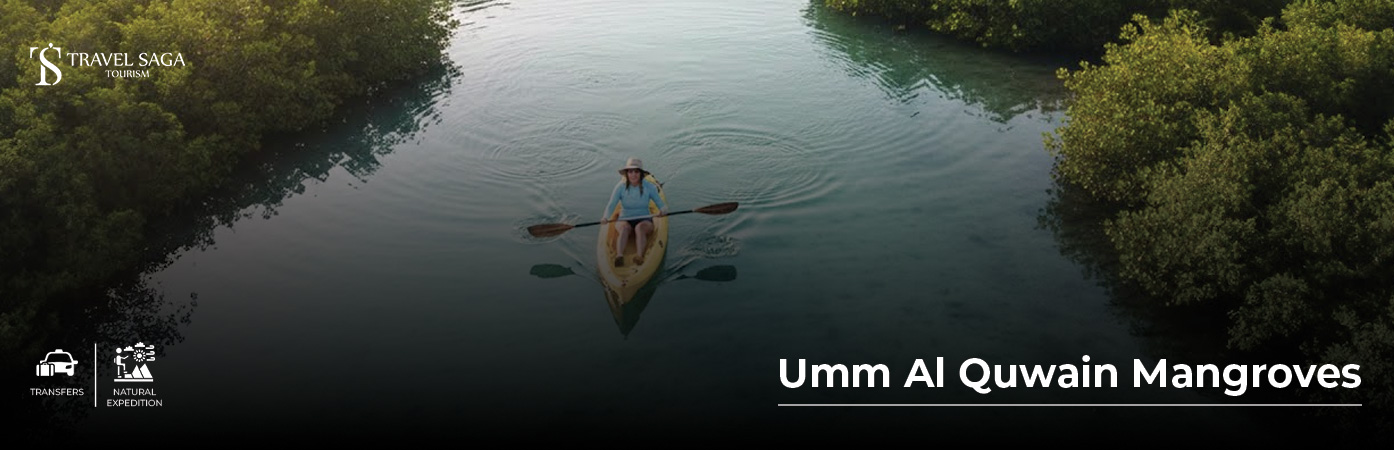 Umm al Quwain Mangroves BT Banner by Travel Saga Tourism